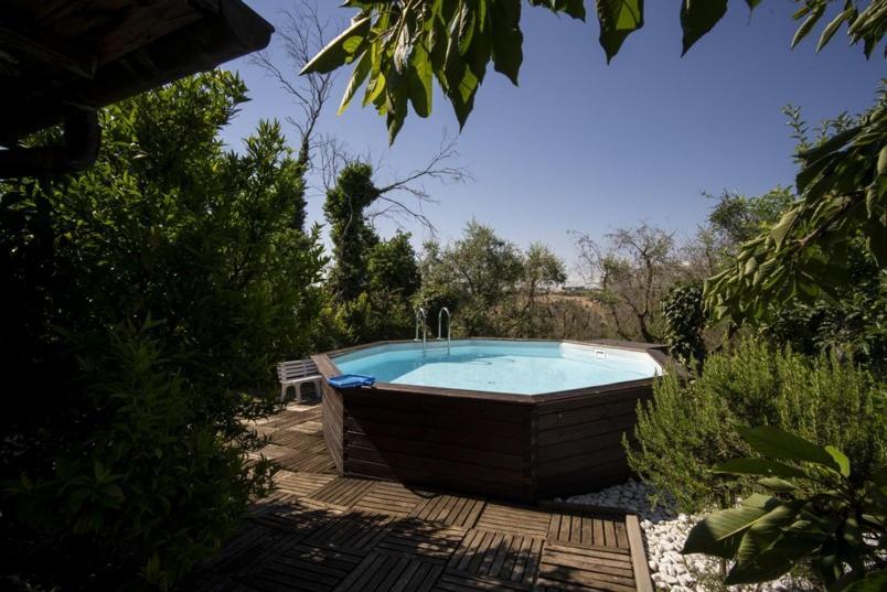 Trecentolivi B&b Montignano Exterior foto