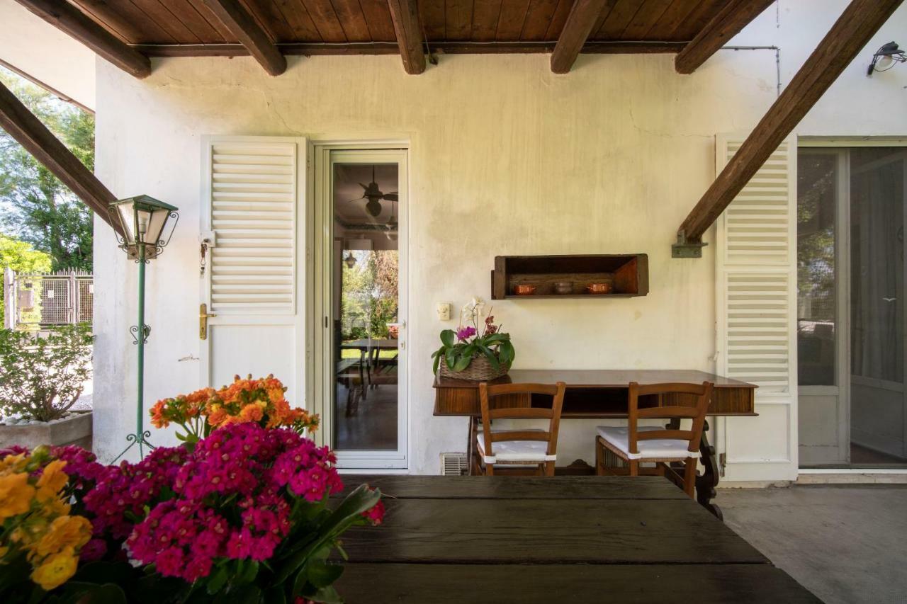 Trecentolivi B&b Montignano Exterior foto